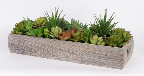 18.5*6.5*8'' VERDURE DÉCOR DE SUCCULENTES