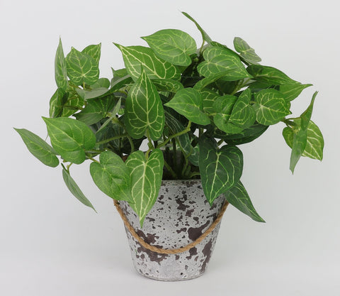 4.5*10''Greenery Leaves Arrangement Décor