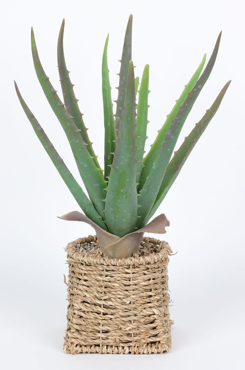 4.25*4.25*13.5''Greenery Arrangement Decor
