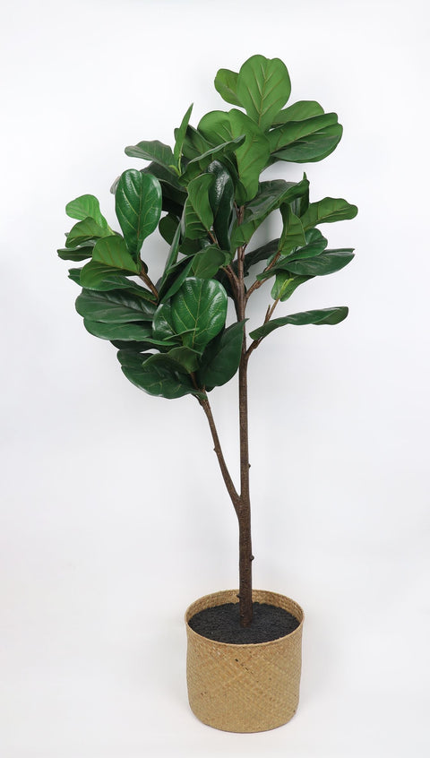 Faux Potted Fiddle Leaf Figurine: Enhance Your Home Decor with this 13.5x72" Greenery Piece