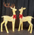 A:41 X 21 X 62"B:32.5 X 15 X 53"H S/2 Pte-Lit Light Up Holiday Standing Deer-Led Lighting