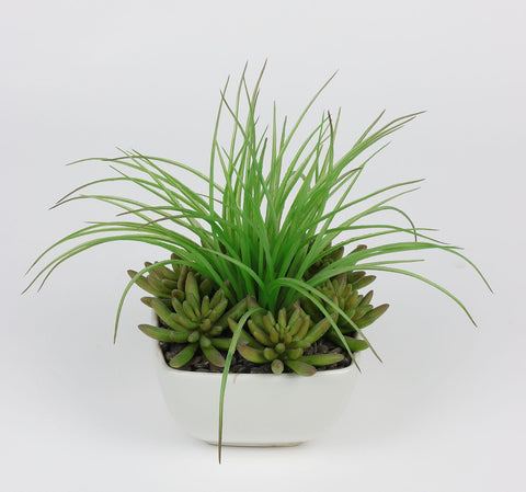 5*5*10.5 PO DÉCOR DE VERDURE