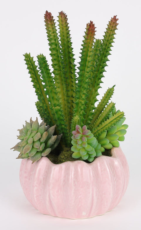 4*7.25''Greenery Succulent Arrangement Décor