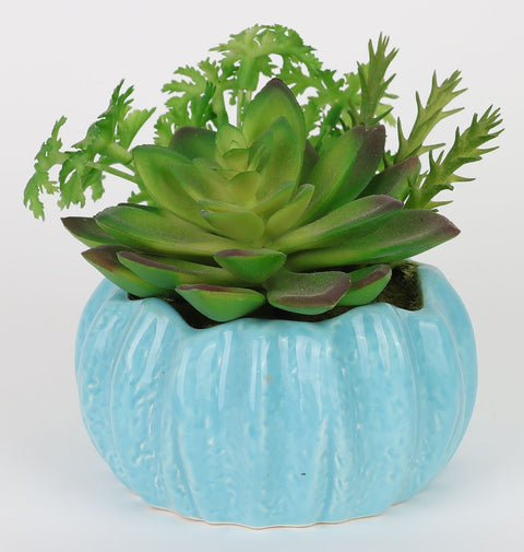4*4.5''Greenery Succulent Arrangement Décor