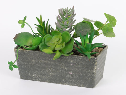 8.25*3.75*7.5'' DÉCOR DE SUCCULENTES DE VERDURE