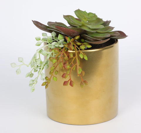 3.875*5.75''Greenery Succulent Arrangement Décor
