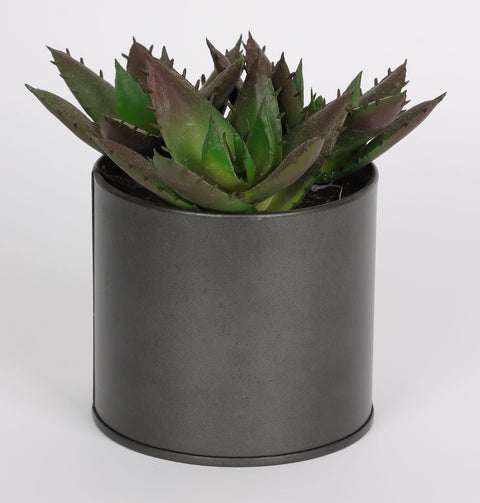 3.5*4.75''Greenery Succulent Arrangement Décor