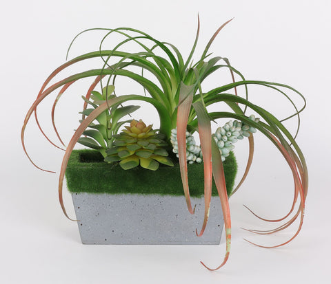 6.5*2.5*8.5''Greenery Succulent Arrangement Décor