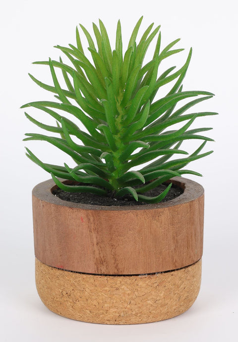 3.5*8''Greenery Arrangement Décor