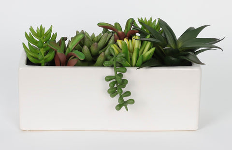 Faux White Potted Succulents : 5.5 Inch Artificial Plant Home Decor