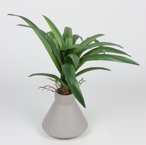 21*18.5 po DÉCOR DE VERDURE