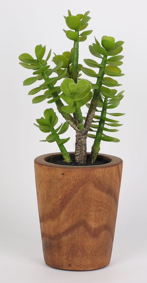 4.75*13''Greenery Succulent Arrangement Décor