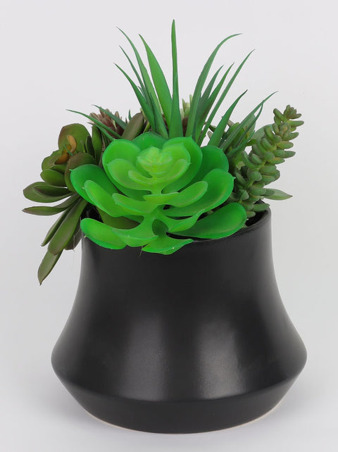 6*9''Greenery Succulent Arrangement Décor
