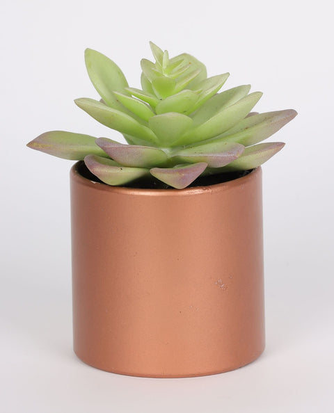 4*4.75''Greenery Succulent Arrangement Décor