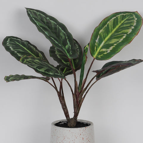 15.0*19.0‘’Greenery Table Décor