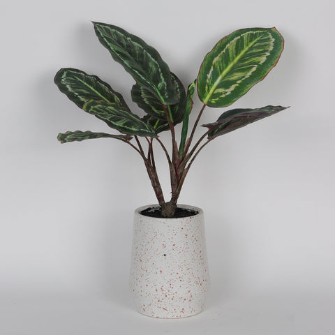 15.0*19.0‘’Greenery Table Décor