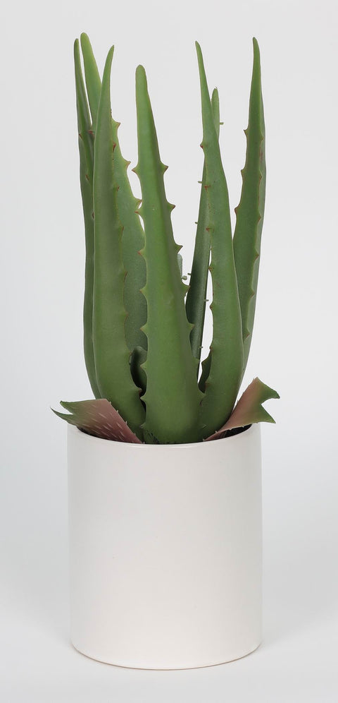 Lush 10 Inch Potted Aloe Plant - Artificial Plant for Home Decor