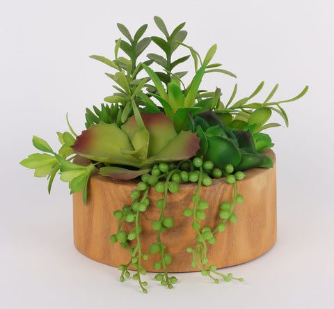 DÉCOR DE SUCCULENTES DE VERDURE 6*6''