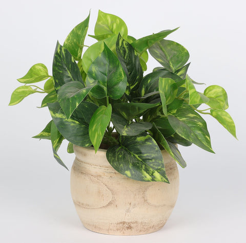 4.75*10''Greenery Leaves Arrangement Décor