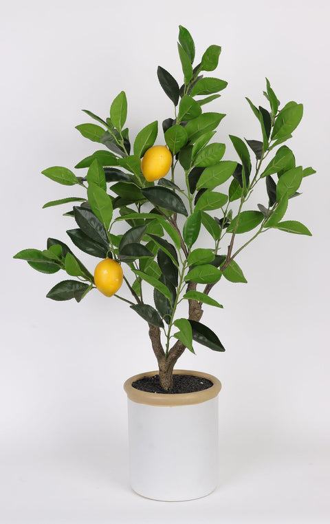 Vase avec décor de citronnier