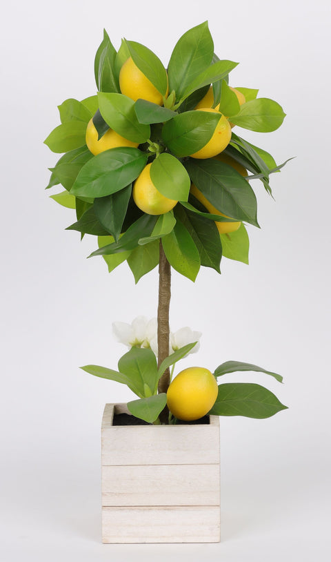7.5*7.5*16 PO BOÎTE EN BOIS AVEC CITRONIER ARTIFICIEL