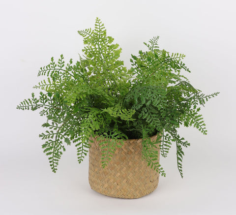 DÉCOR DE VERDURE 6.5*13''