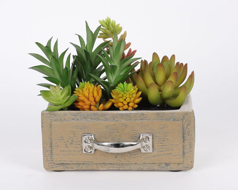 6.25*4.25*6'' VERDURE DÉCOR DE SUCCULENTES