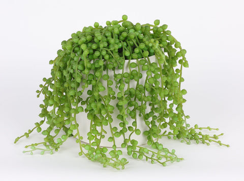 4.625*6'' VERDURE DÉCOR DE SUCCULENTES