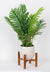 27"H potted leaf plant