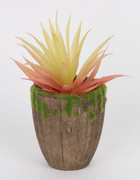 3.625*8''Greenery Arrangement Décor