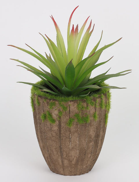 3.625*8''Greenery Arrangement Décor
