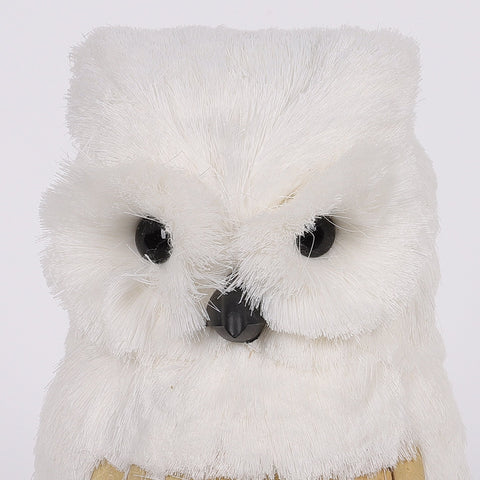 6X6.25X9 Inch White Owl Décor