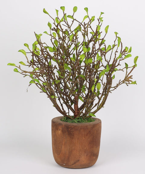 5.5*17''Greenery Leaves Arrangement Décor