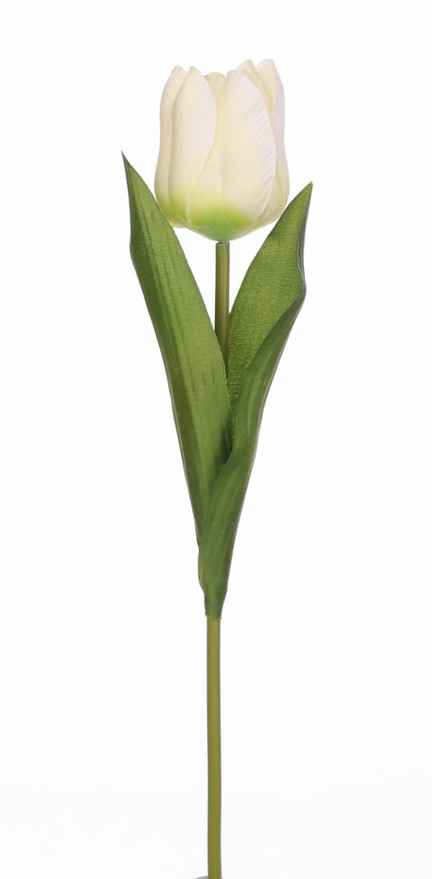 Tige de tulipe 14"