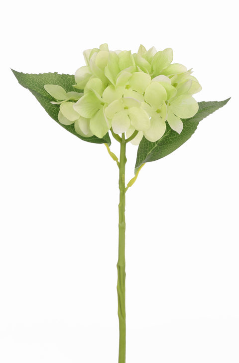 Tige d'hortensia 14"