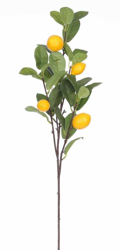27" Lemon branch