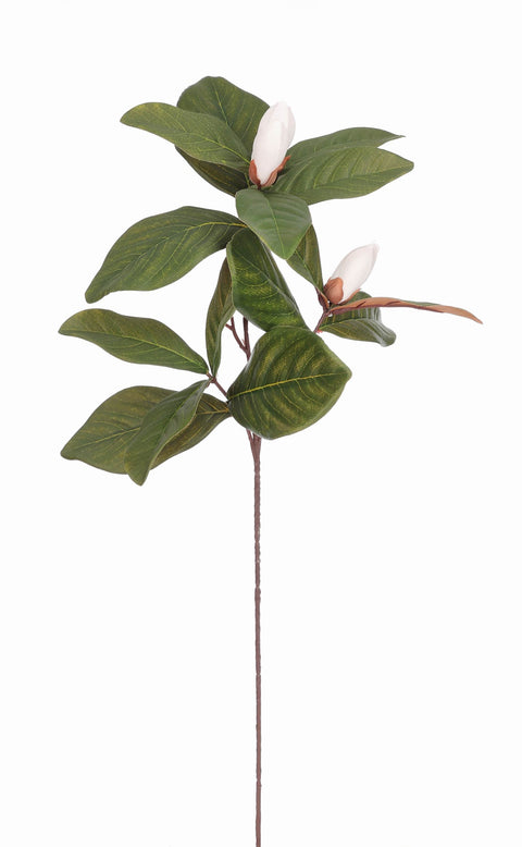 27" Magnolia stem