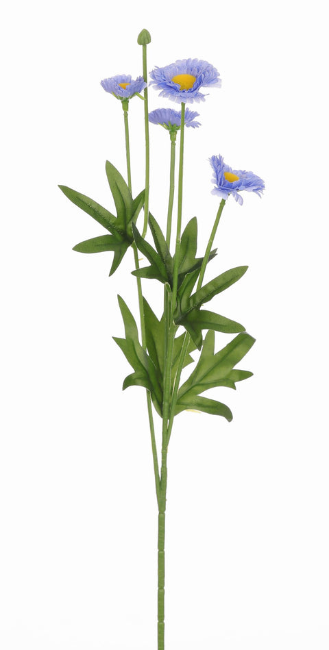 Tiges d'Aster Pastelle 14.5"