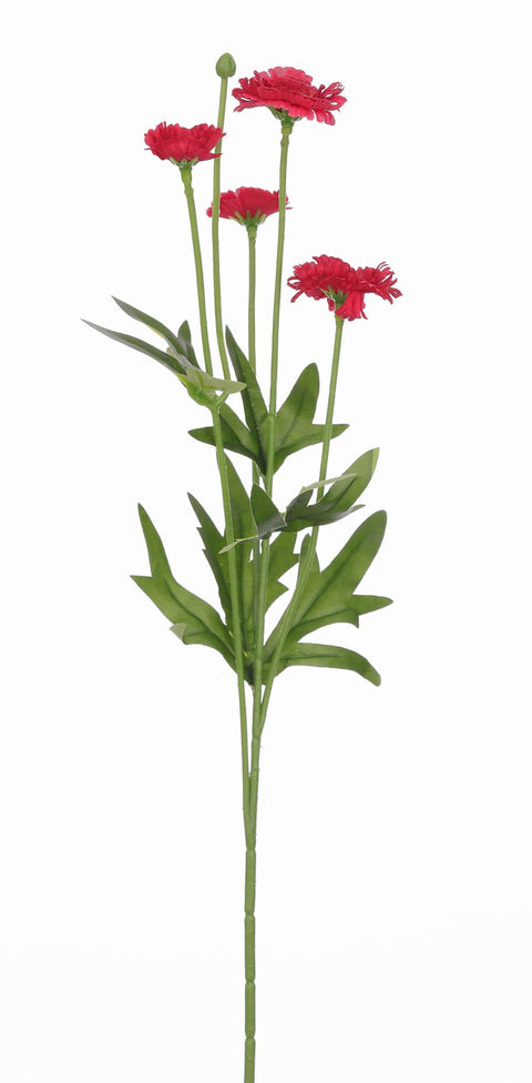 Tige d'Aster rouge 14.5"