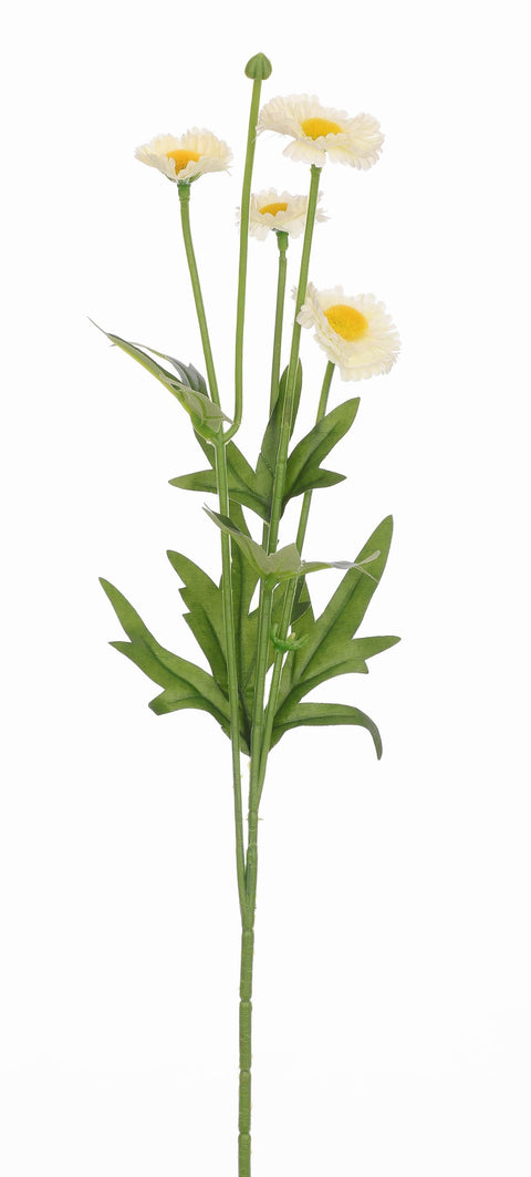 Tige d'Aster Blanche 14.5"