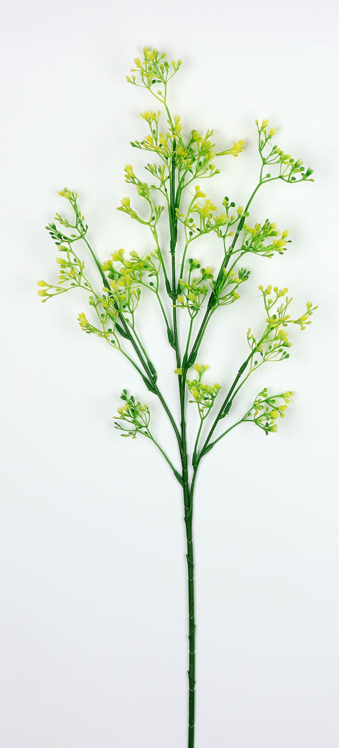 26" Waxflower stem