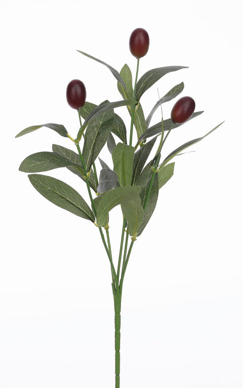 Feuilles d'olivier 12,5"