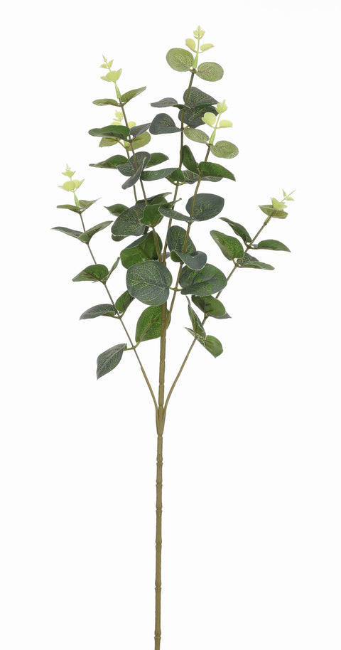 24.5" Eucalyptus Stem