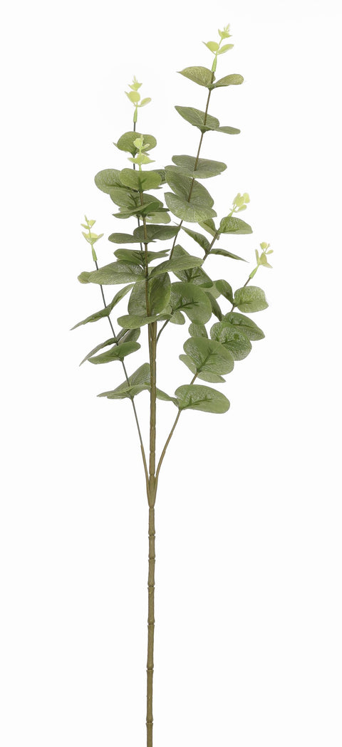 24.5" Eucalyptus Stem