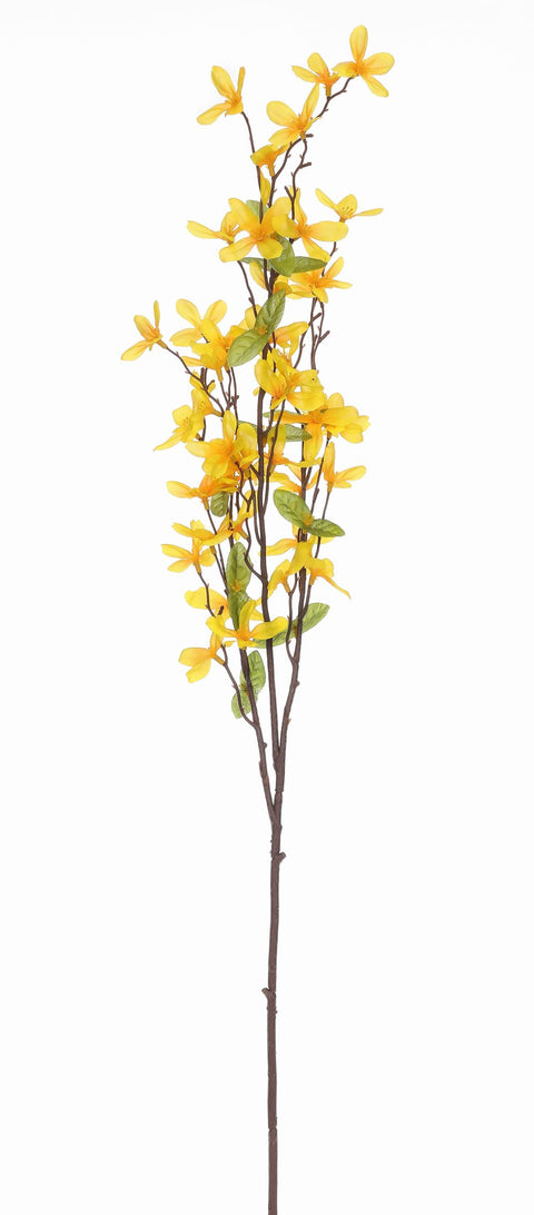 31" Forsythia branch