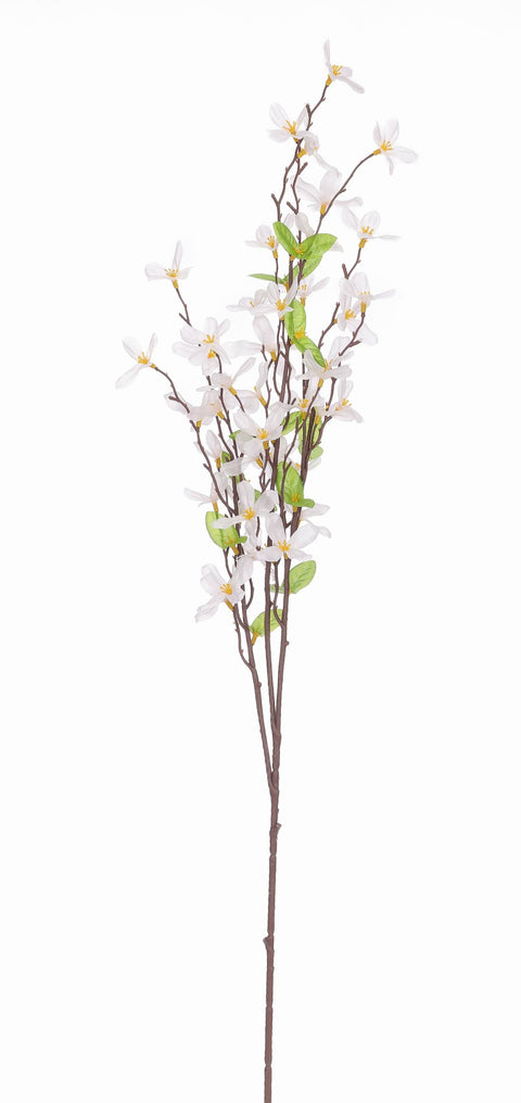 31" Forsythia branch