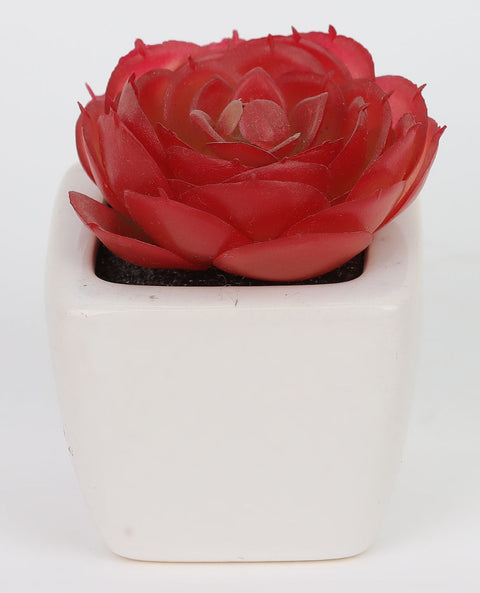 2*2*2.5''Greenery Succulent Arrangement Décor