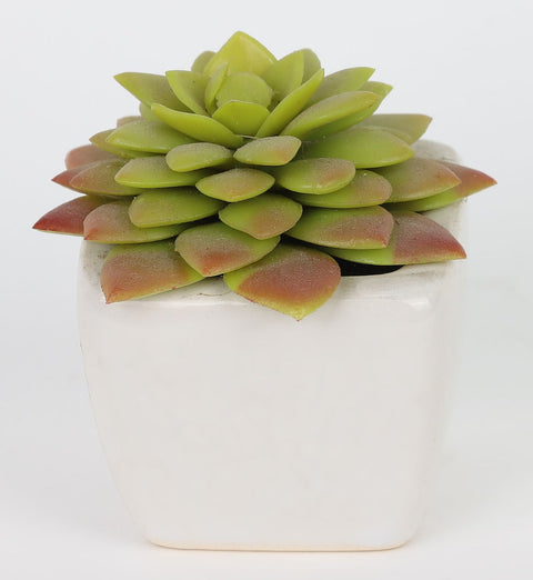 2*2*2.75''Greenery Succulent Arrangement Décor