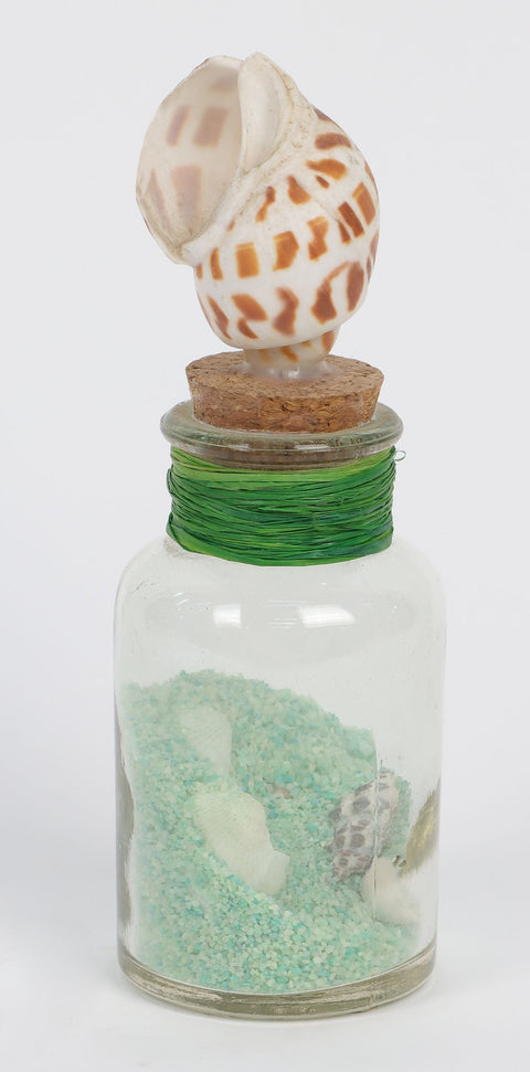 2.125"x6.5" Sea table décor
