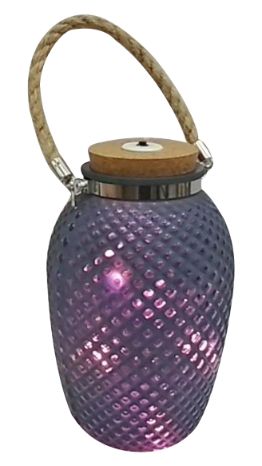 5.25''X7.75'' Glass Bottle W/Light Décor